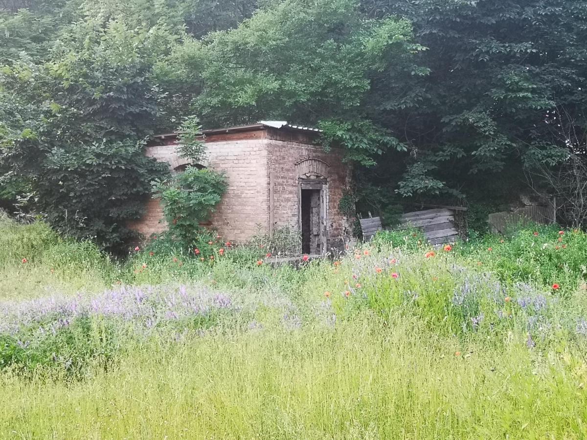 Gaestehaus Am Landgut Schonwalde-Glien Luaran gambar